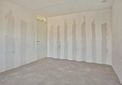 285026981.jpg