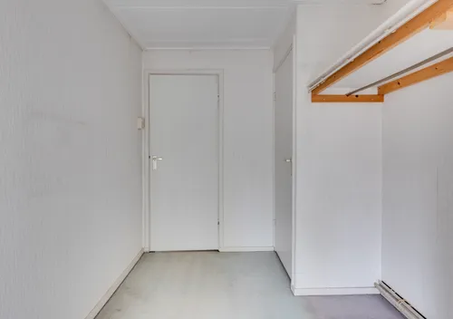 295014053.jpg