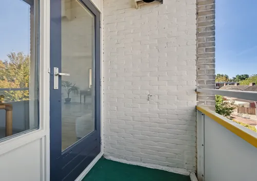294602689.jpg