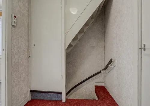 264712592.jpg
