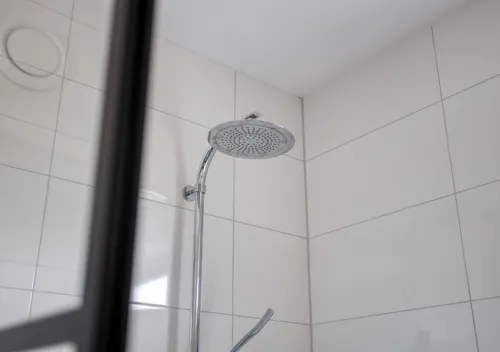 287205053.jpg
