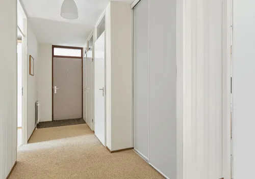 295661495.jpg