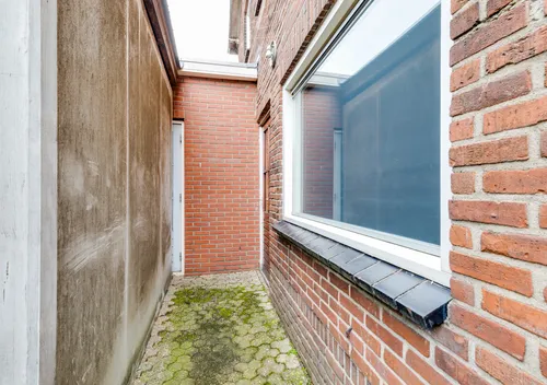 244128126.jpg