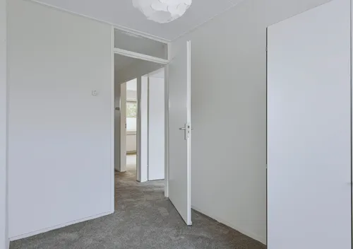 287737435.jpg