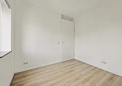 273193734.jpg