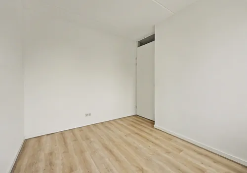 273193802.jpg