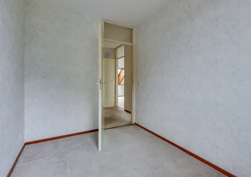 276584132.jpg