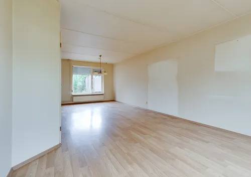276583774.jpg