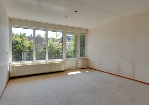 288574825.jpg