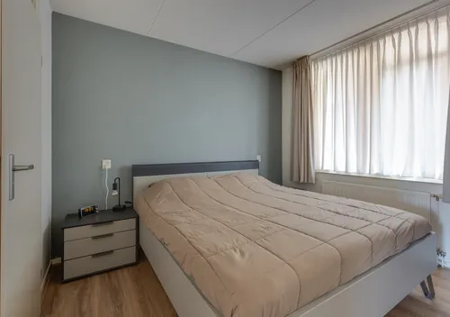 295695073.jpg
