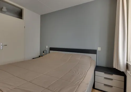 295695087.jpg