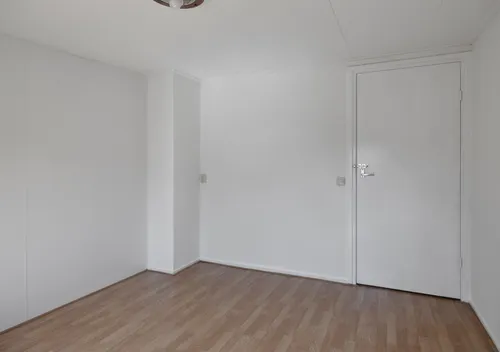 282243487.jpg