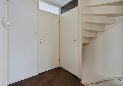 239386182.jpg