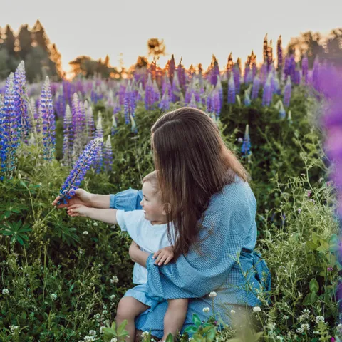 Liana mikah 6 K Rm H6k3 Rdk unsplash